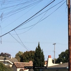 misty morning - travis bretzer [cover]