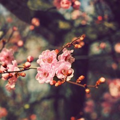 Хаврын шөнийн бодол