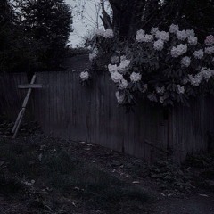 Exhaustion