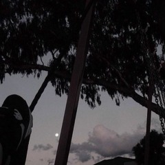 Instrumentals