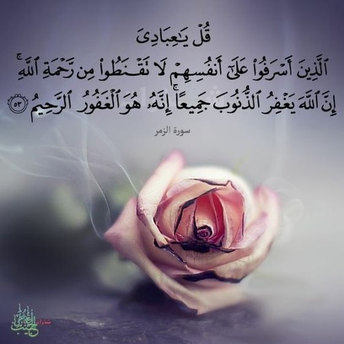 القارئ #أحمد_النفيس ǁ قُلْ يَا عبادِيَ الّذِين أَسرَفُوا عَلى أَنفُسهِم لا تَقنطُوا من رَّحمَة الله