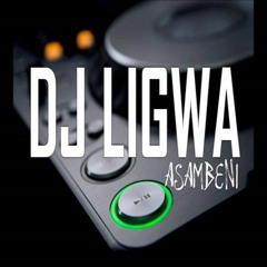 Dj Ligwa Asambeni 12(Lebzas Shandis)