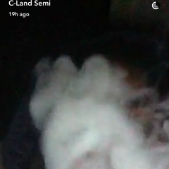 Trapland Pat Ft C - Land Semi - Trap Life (FAST)