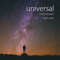 Universal (24 bit)