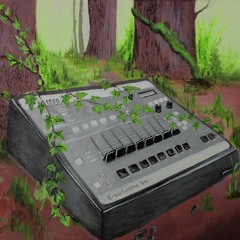 Funkonami - Deep Into The Forest Promo Mix (Mixed by Evil Ed)