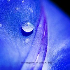 Cold Dew Drips