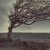 Artwork for LORENZO MASOTTO - A Tree In The Snow