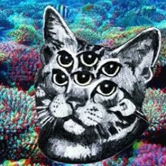 ∆ psytrance / psycore /hi-tech