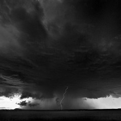 The Plan For A Misguided Generation