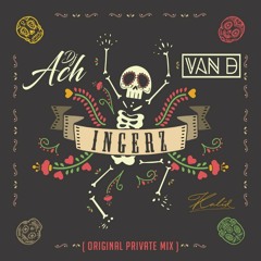 DJ ACH & VAN D - INGERZ ( ORIGINAL PRIVATE MIX )