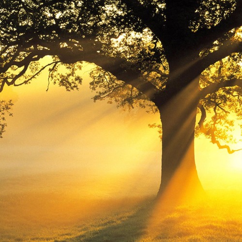 Abu Uwais - A Call To The Non Muslim (About Islam)