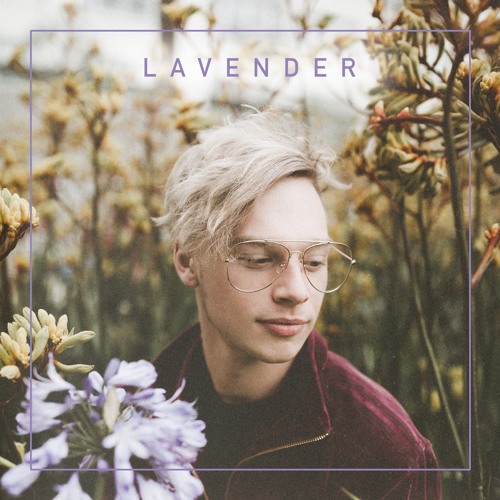Lavender