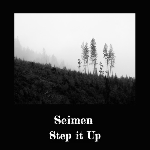 Seimen - Step It Up (SNIPPET)
