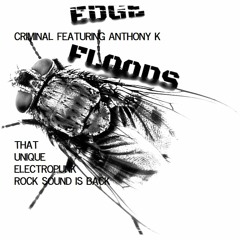 Criminal Featuring Anthony K ( Limited free download until January 8th)