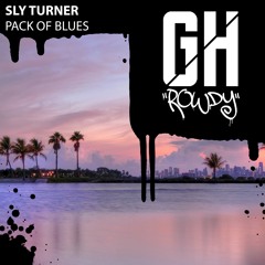 Sly Turner - Pack of Blues (Original Mix)