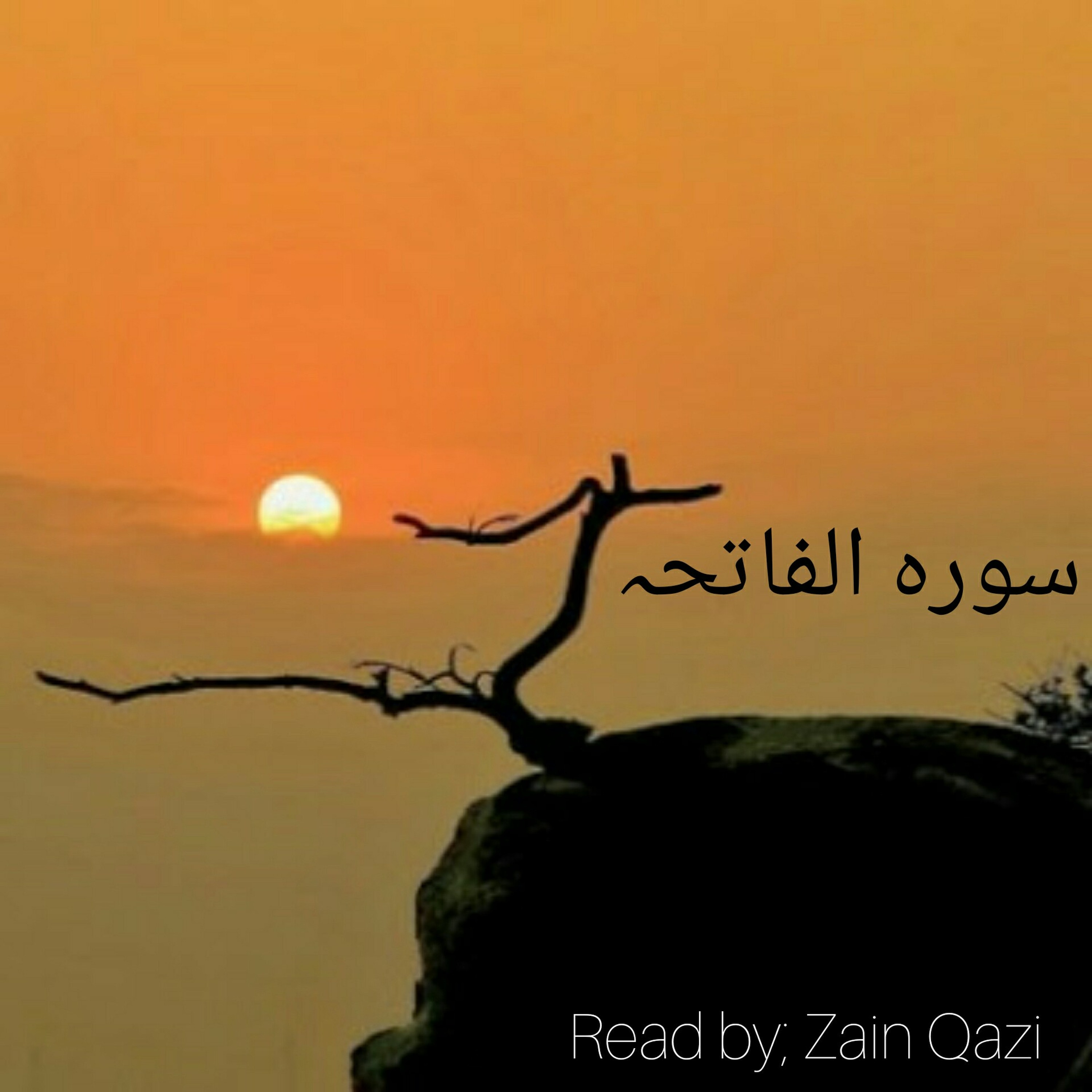 ZQ Recites