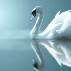 Красивая музыка