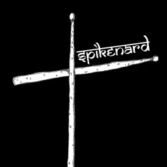 "These Waters" - Ben Howard, as performed by Spikenard