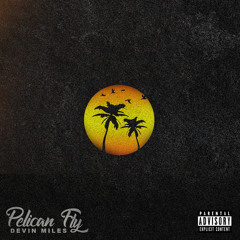Pelican Fly (Prod. moflo music)
