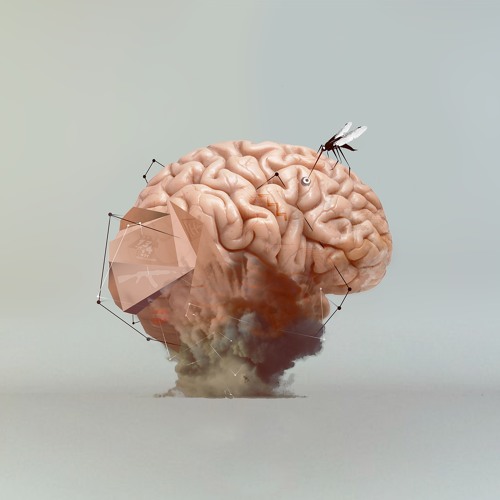 Zombie Walk - Graffiti Fish