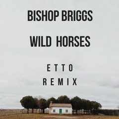 Bishop Briggs - Wild Horses (Etto Remix)