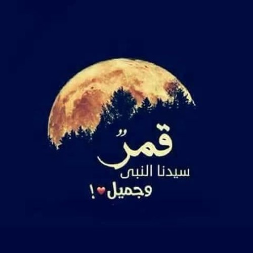 أجمل ما غنت البشرية عن الرسول