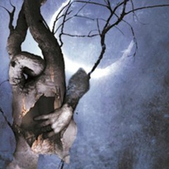 Nevermore - The Heart Collector (Bass Cover)