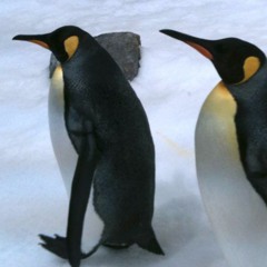 Frisky (with Paul Frick)