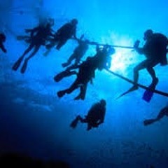 come.. dive with me..