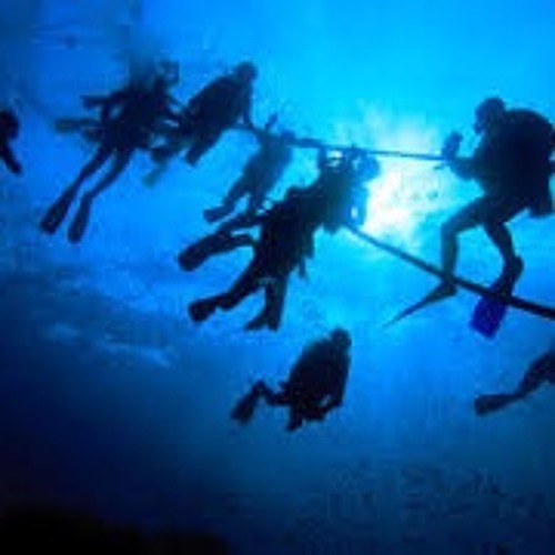 come.. dive with me..