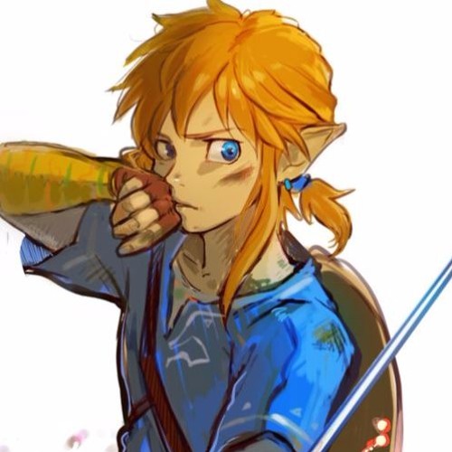 Zelda Breath of The Wild Link's Memories Found