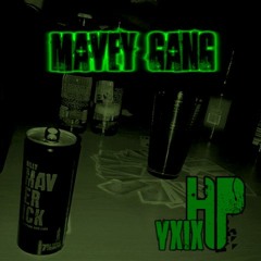 MAVY GANG (HPVXIX)