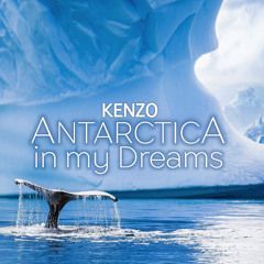 Kenzo-Antarctica in my Dreams
