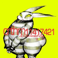 crthm11417421