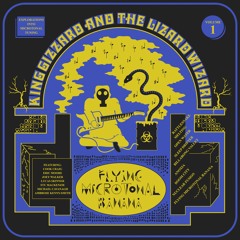 King Gizzard And The Lizard Wizard - Nuclear Fusion (Snarling Parrot RMX)