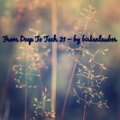 FROM DEEP TO TECH VOL. 21 - by birkenlauber