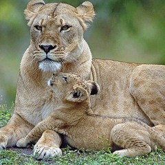 Mama (mavado Remix) Judaking