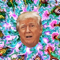 Fake News | January 2017 Mix