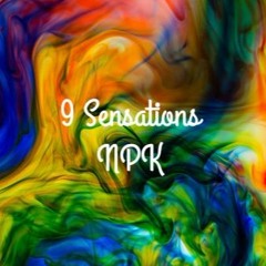 9 Sensations