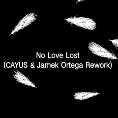 CeCe Rogers & Syke'n'Sugarstarr - No Love Lost (CAYUS & Jamek Ortega Rework)
