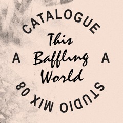 Catalogue Studio Mix 08 — This Baffling World