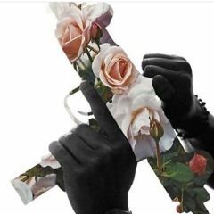 came in with nothing