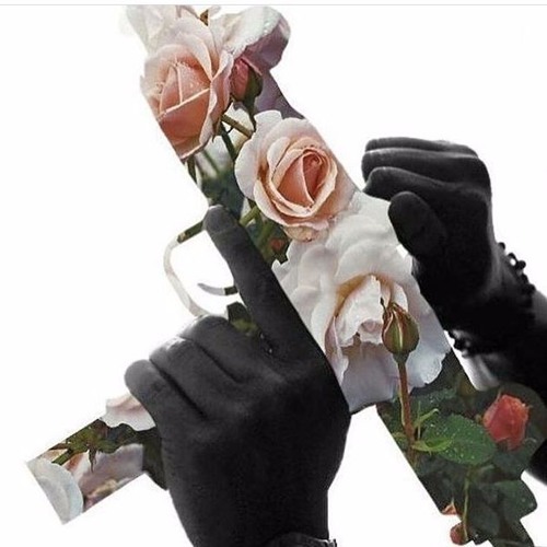 came in with nothing