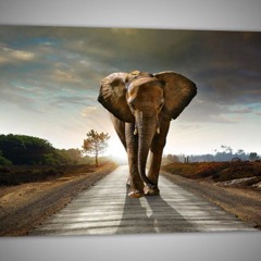 Keep diggin(prod Russ)