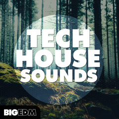 Tech House Sounds [Drums, Massive / Sylenth1 Presets, Kits & Melodies] OUT NOW On Beatport!