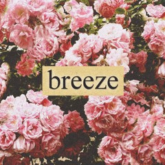 Breeze (w/ Curfew)