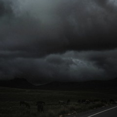 Needze - Hodan (Original Mix)