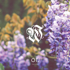 ibrahim - wisteria