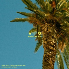 Benny Jetts ~ Neon Palm Trees III