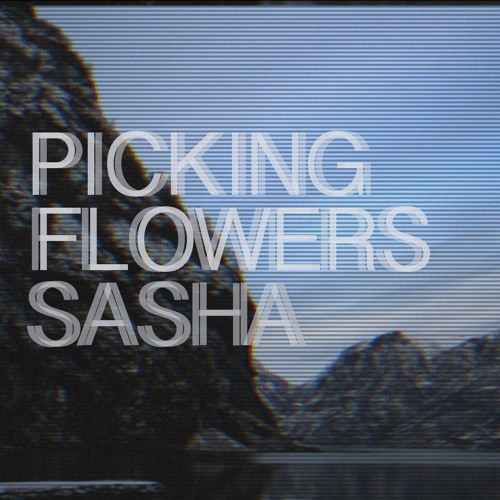 Picking Flowers